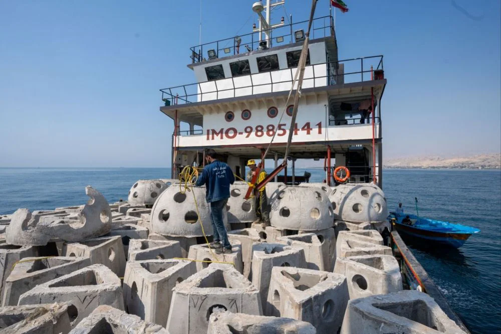 زیستگاه‌های مصنوعی دریایی عسلویه و کنگان با مشارکت آریاساسول مستقر شد